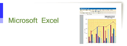 Microsoft Excel