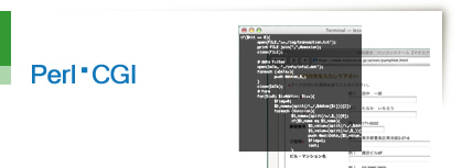 CGI Perl